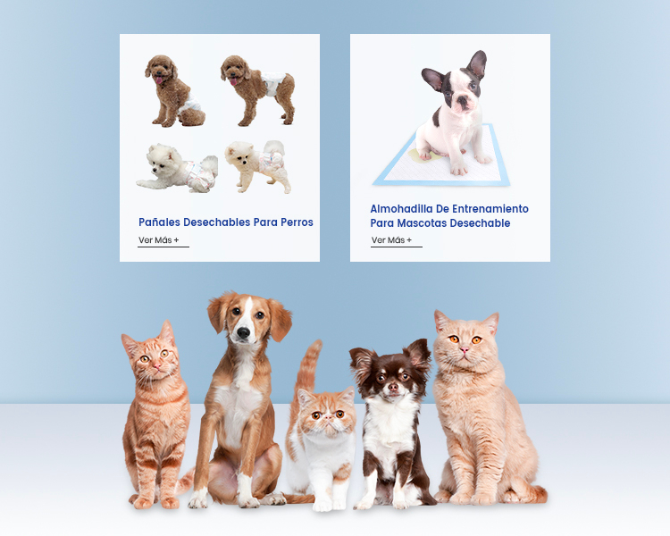 西4莆田市凯达移动端banner 拷贝